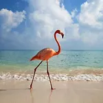 200 M A Pied Terrasse Vue Salins Bus Pour Iles Apartment *